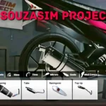 Souzasim Project