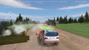 Rally Fury
